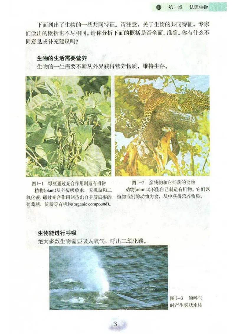 初中_生物_7_1(1)_教资初高中_教资面试2025教资面试备考资料合集_教资面试资料合集_2025教资面试资料_25上教资面试-小学资料包_20教材：全册_初中_初中生物