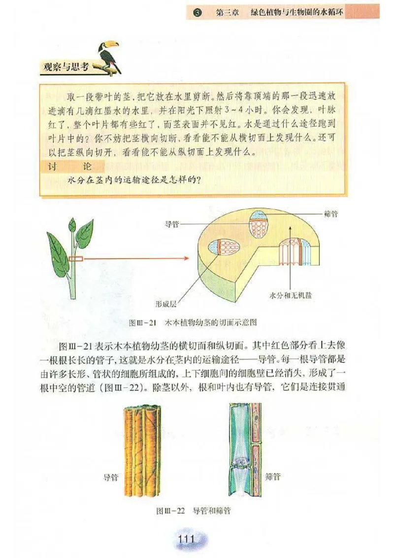初中_生物_7_1(1)_教资初高中_教资面试2025教资面试备考资料合集_教资面试资料合集_2025教资面试资料_25上教资面试-小学资料包_20教材：全册_初中_初中生物