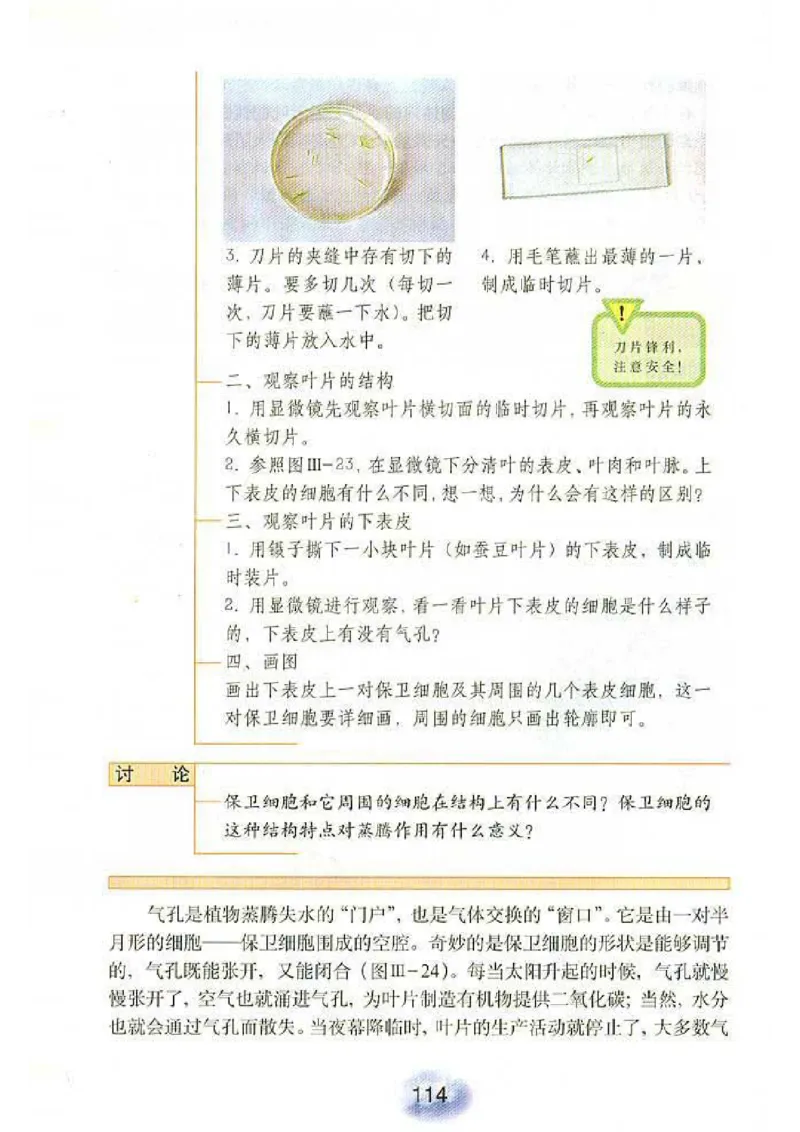 初中_生物_7_1(1)_教资初高中_教资面试2025教资面试备考资料合集_教资面试资料合集_2025教资面试资料_25上教资面试-小学资料包_20教材：全册_初中_初中生物