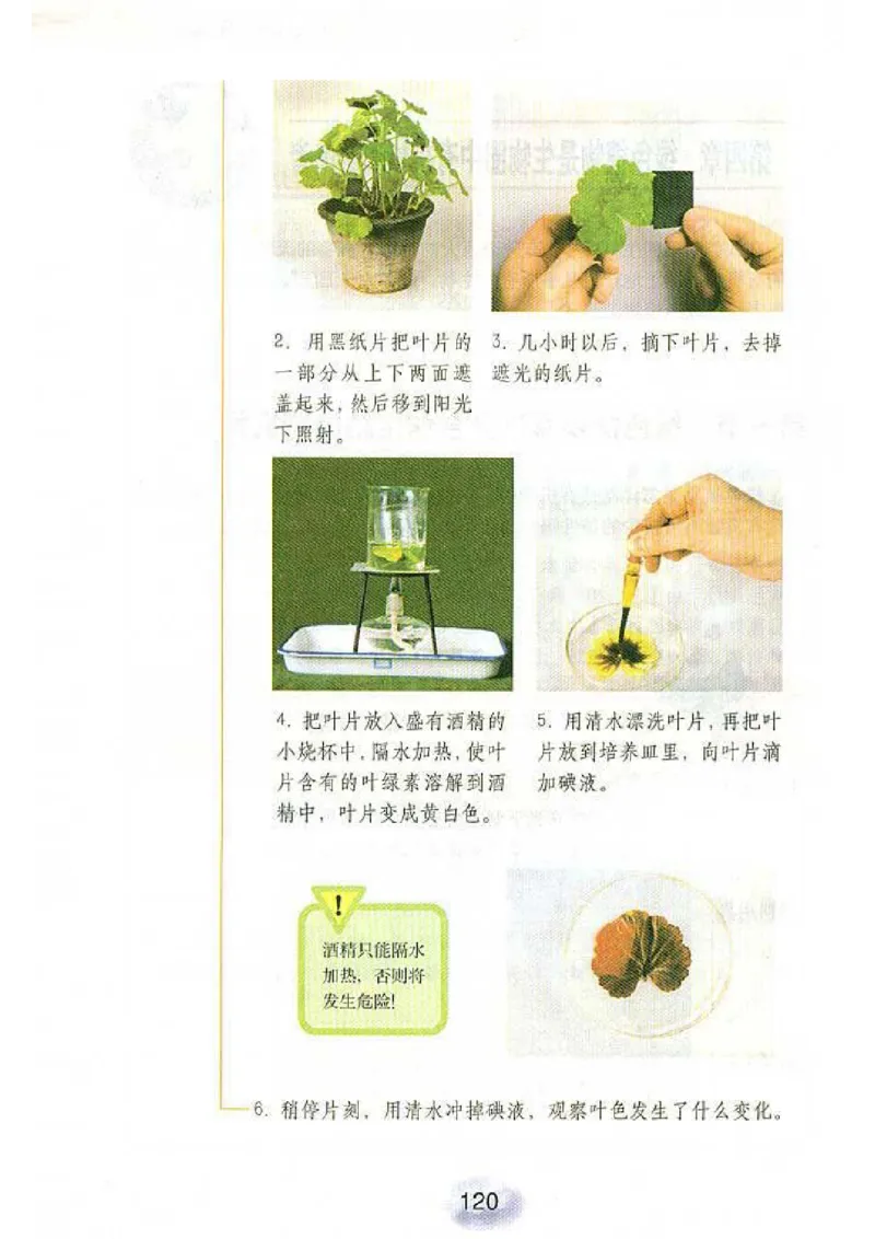 初中_生物_7_1(1)_教资初高中_教资面试2025教资面试备考资料合集_教资面试资料合集_2025教资面试资料_25上教资面试-小学资料包_20教材：全册_初中_初中生物