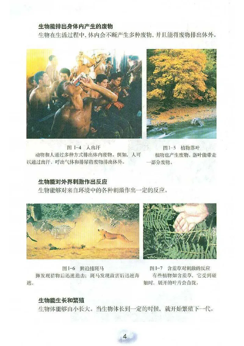 初中_生物_7_1(1)_教资初高中_教资面试2025教资面试备考资料合集_教资面试资料合集_2025教资面试资料_25上教资面试-小学资料包_20教材：全册_初中_初中生物