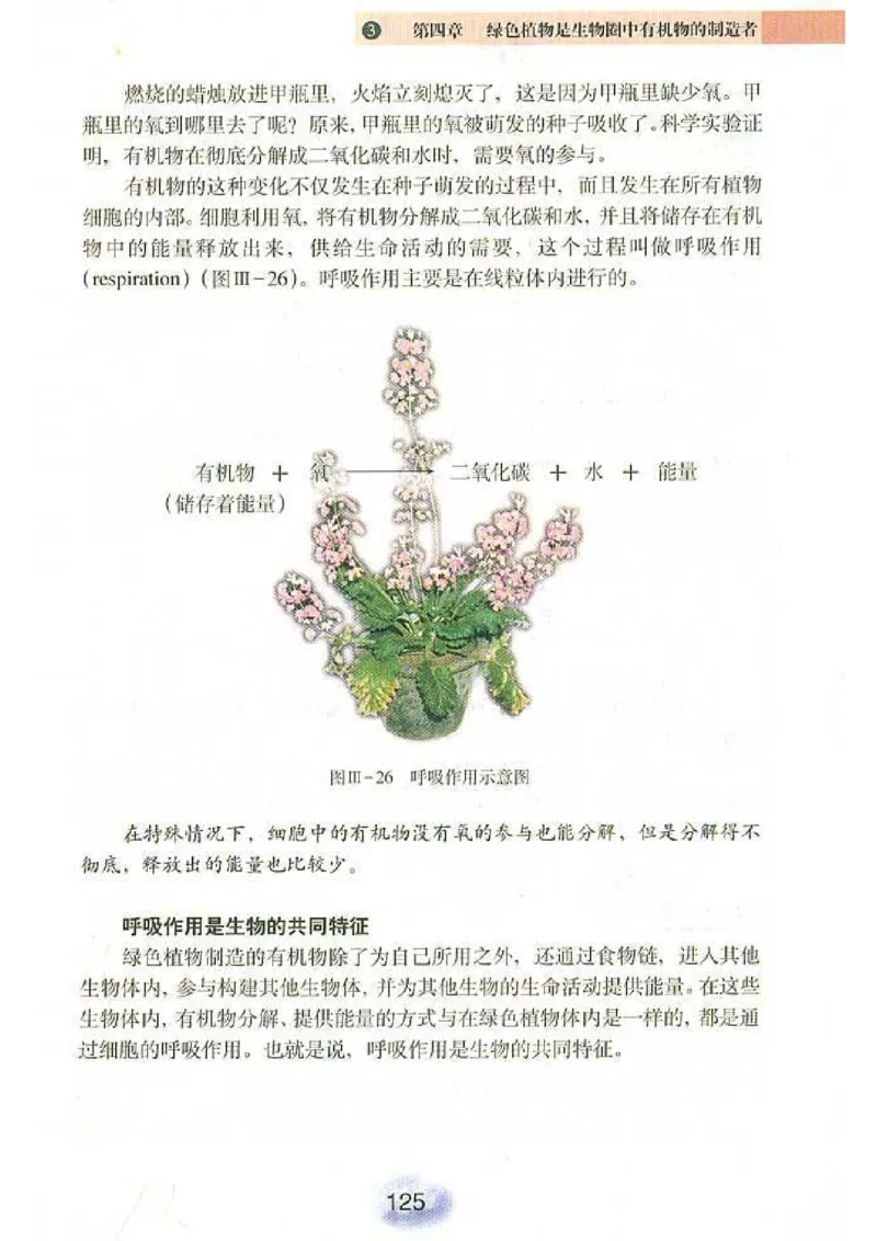 初中_生物_7_1(1)_教资初高中_教资面试2025教资面试备考资料合集_教资面试资料合集_2025教资面试资料_25上教资面试-小学资料包_20教材：全册_初中_初中生物