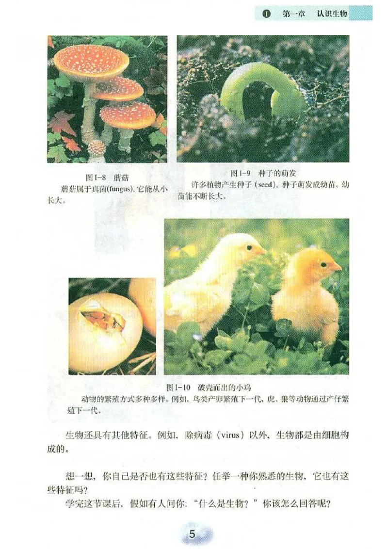 初中_生物_7_1(1)_教资初高中_教资面试2025教资面试备考资料合集_教资面试资料合集_2025教资面试资料_25上教资面试-小学资料包_20教材：全册_初中_初中生物