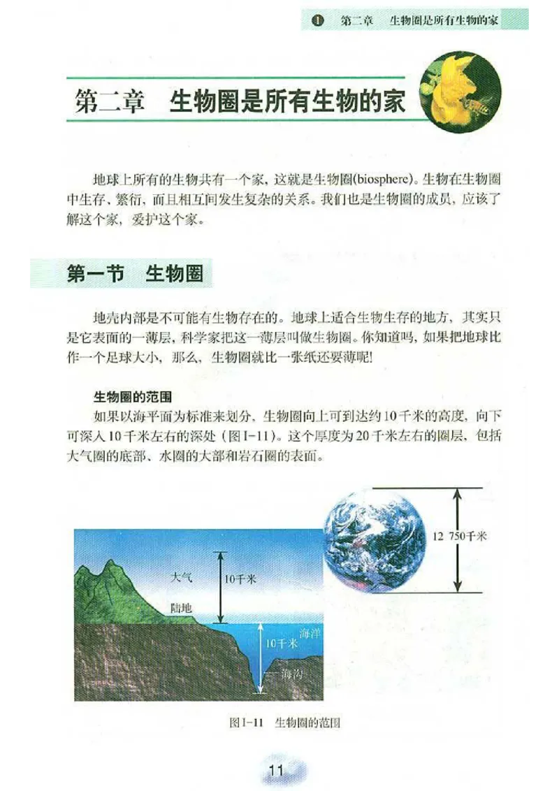 初中_生物_7_1(1)_教资初高中_教资面试2025教资面试备考资料合集_教资面试资料合集_2025教资面试资料_25上教资面试-小学资料包_20教材：全册_初中_初中生物