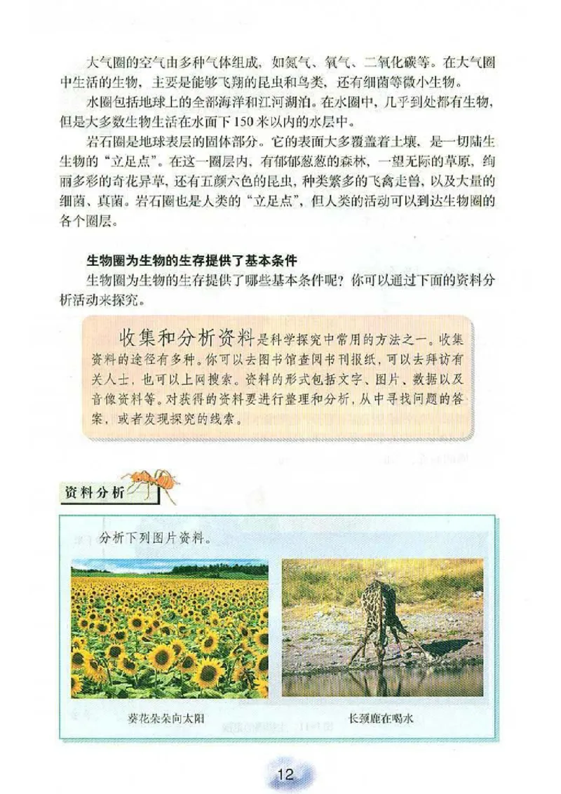 初中_生物_7_1(1)_教资初高中_教资面试2025教资面试备考资料合集_教资面试资料合集_2025教资面试资料_25上教资面试-小学资料包_20教材：全册_初中_初中生物