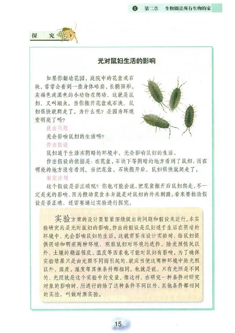 初中_生物_7_1(1)_教资初高中_教资面试2025教资面试备考资料合集_教资面试资料合集_2025教资面试资料_25上教资面试-小学资料包_20教材：全册_初中_初中生物