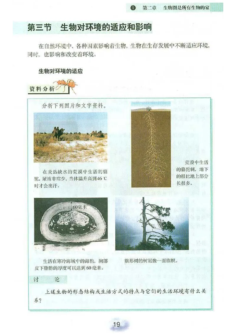 初中_生物_7_1(1)_教资初高中_教资面试2025教资面试备考资料合集_教资面试资料合集_2025教资面试资料_25上教资面试-小学资料包_20教材：全册_初中_初中生物