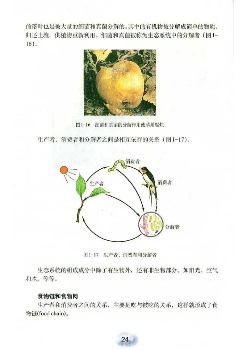 初中_生物_7_1(1)_教资初高中_教资面试2025教资面试备考资料合集_教资面试资料合集_2025教资面试资料_25上教资面试-小学资料包_20教材：全册_初中_初中生物