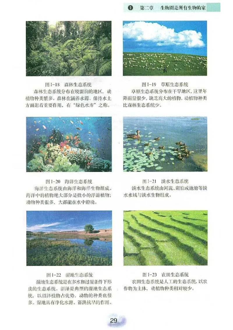 初中_生物_7_1(1)_教资初高中_教资面试2025教资面试备考资料合集_教资面试资料合集_2025教资面试资料_25上教资面试-小学资料包_20教材：全册_初中_初中生物