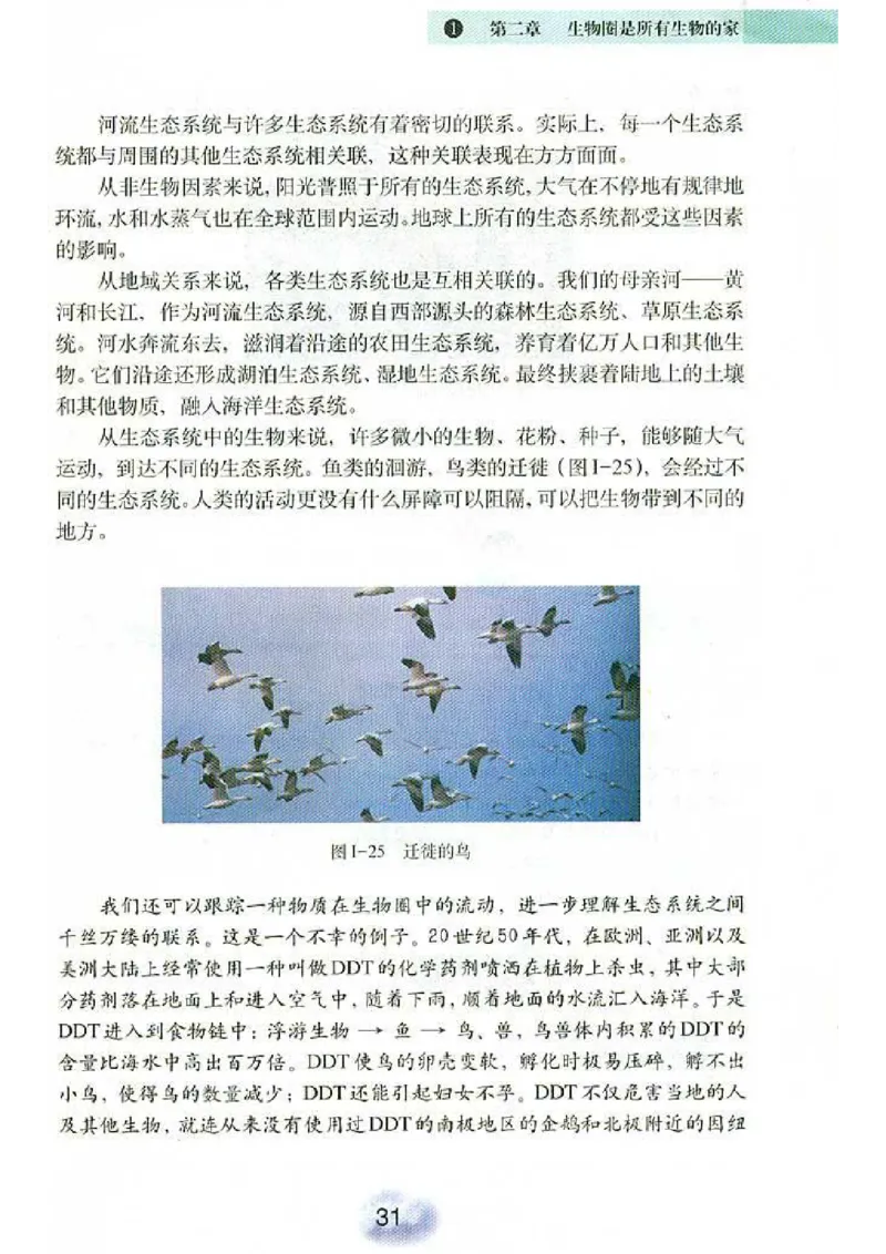 初中_生物_7_1(1)_教资初高中_教资面试2025教资面试备考资料合集_教资面试资料合集_2025教资面试资料_25上教资面试-小学资料包_20教材：全册_初中_初中生物