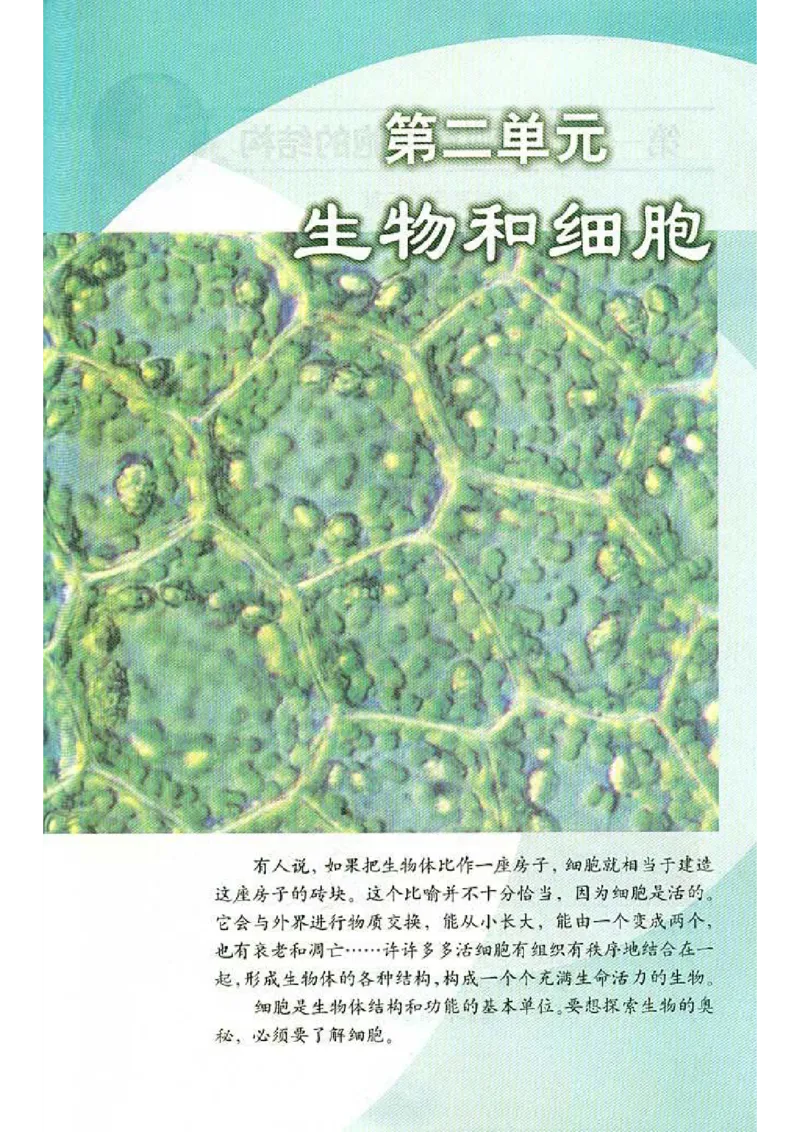 初中_生物_7_1(1)_教资初高中_教资面试2025教资面试备考资料合集_教资面试资料合集_2025教资面试资料_25上教资面试-小学资料包_20教材：全册_初中_初中生物