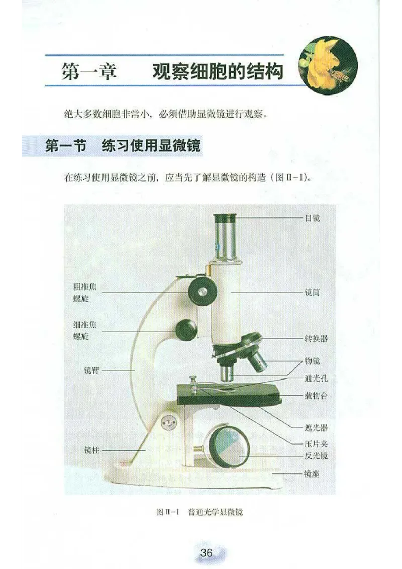 初中_生物_7_1(1)_教资初高中_教资面试2025教资面试备考资料合集_教资面试资料合集_2025教资面试资料_25上教资面试-小学资料包_20教材：全册_初中_初中生物
