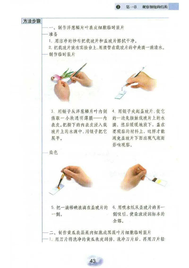 初中_生物_7_1(1)_教资初高中_教资面试2025教资面试备考资料合集_教资面试资料合集_2025教资面试资料_25上教资面试-小学资料包_20教材：全册_初中_初中生物