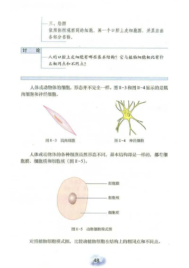 初中_生物_7_1(1)_教资初高中_教资面试2025教资面试备考资料合集_教资面试资料合集_2025教资面试资料_25上教资面试-小学资料包_20教材：全册_初中_初中生物