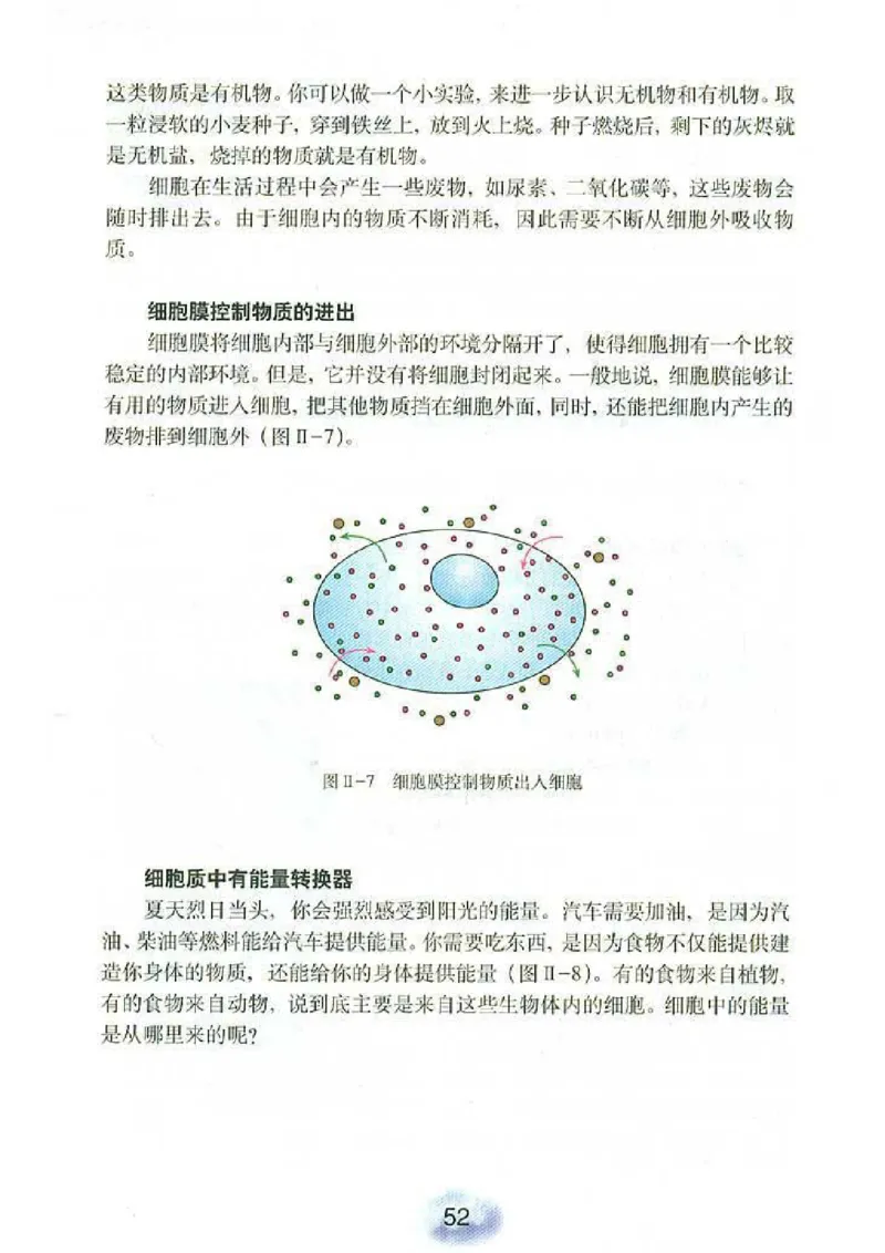 初中_生物_7_1(1)_教资初高中_教资面试2025教资面试备考资料合集_教资面试资料合集_2025教资面试资料_25上教资面试-小学资料包_20教材：全册_初中_初中生物