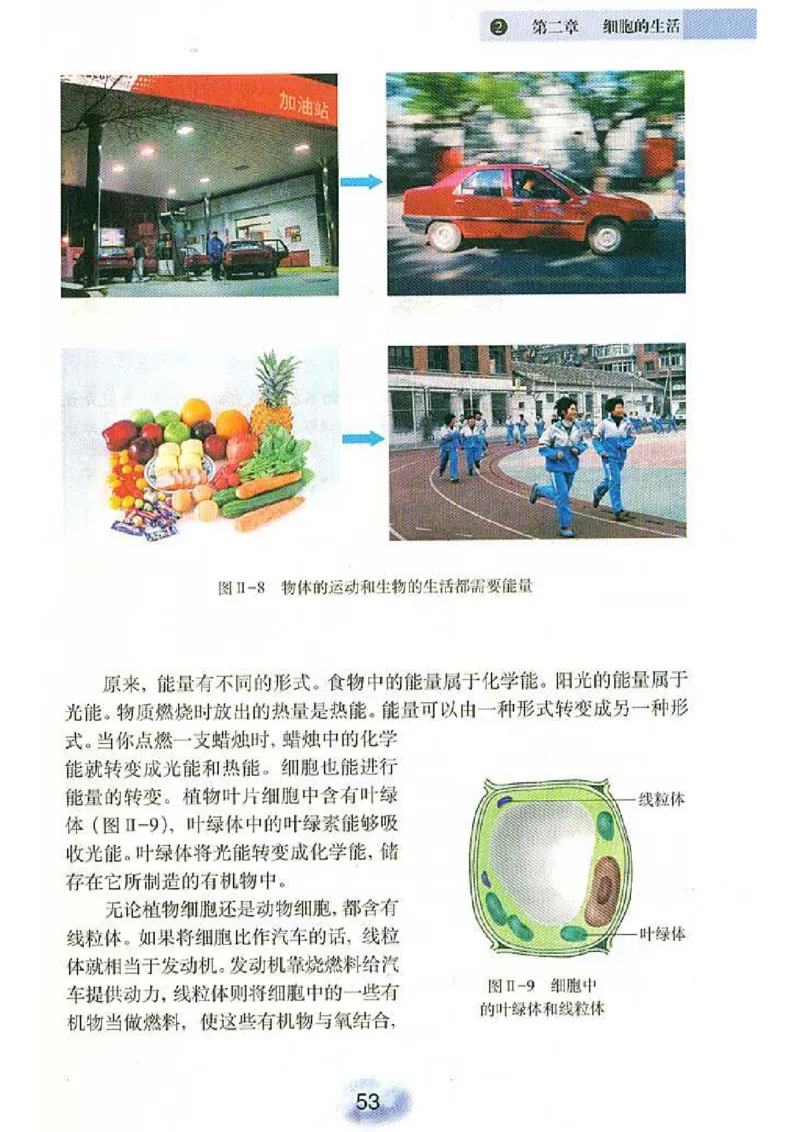 初中_生物_7_1(1)_教资初高中_教资面试2025教资面试备考资料合集_教资面试资料合集_2025教资面试资料_25上教资面试-小学资料包_20教材：全册_初中_初中生物