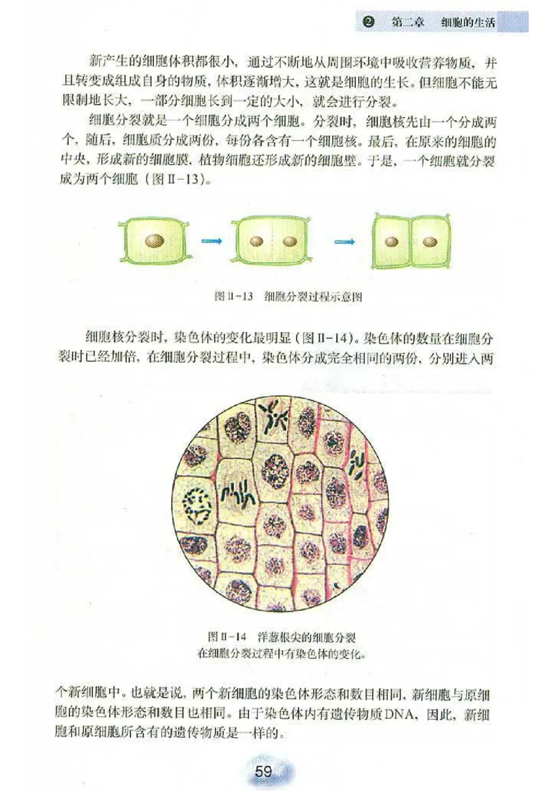 初中_生物_7_1(1)_教资初高中_教资面试2025教资面试备考资料合集_教资面试资料合集_2025教资面试资料_25上教资面试-小学资料包_20教材：全册_初中_初中生物