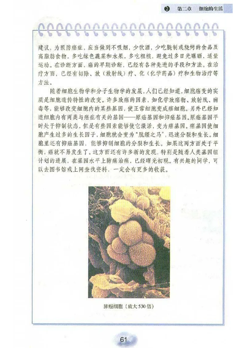 初中_生物_7_1(1)_教资初高中_教资面试2025教资面试备考资料合集_教资面试资料合集_2025教资面试资料_25上教资面试-小学资料包_20教材：全册_初中_初中生物