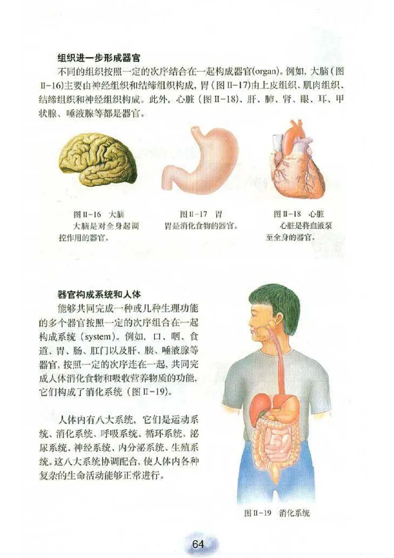 初中_生物_7_1(1)_教资初高中_教资面试2025教资面试备考资料合集_教资面试资料合集_2025教资面试资料_25上教资面试-小学资料包_20教材：全册_初中_初中生物
