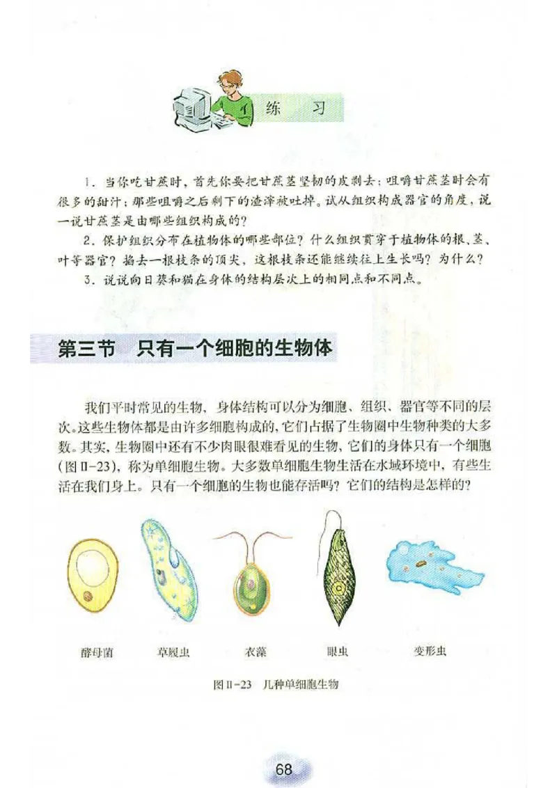 初中_生物_7_1(1)_教资初高中_教资面试2025教资面试备考资料合集_教资面试资料合集_2025教资面试资料_25上教资面试-小学资料包_20教材：全册_初中_初中生物