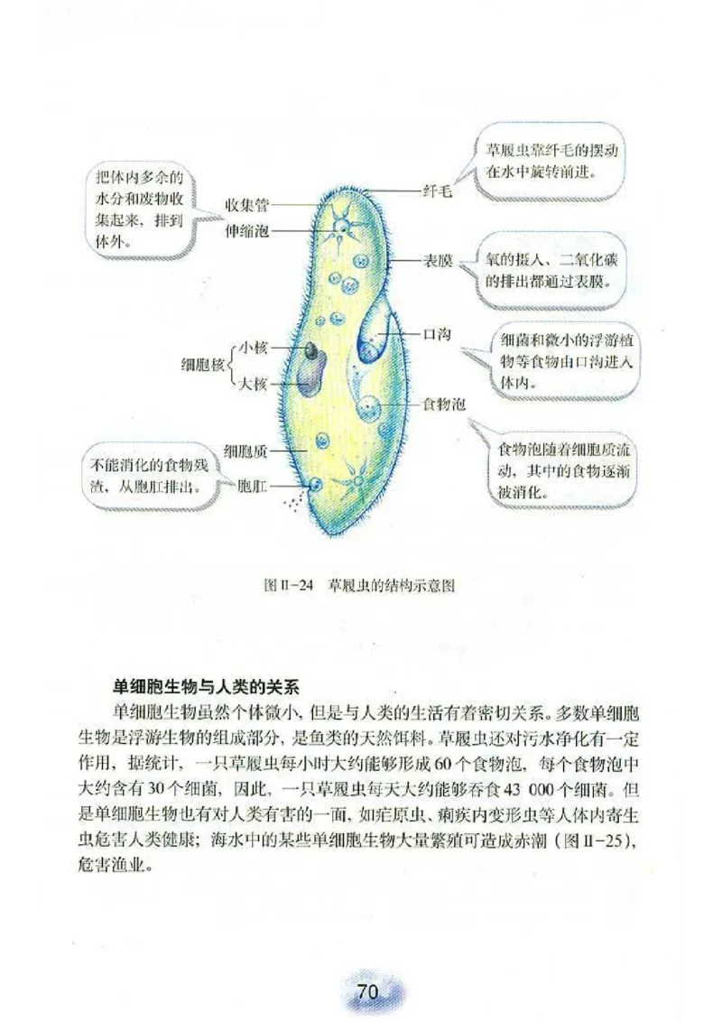 初中_生物_7_1(1)_教资初高中_教资面试2025教资面试备考资料合集_教资面试资料合集_2025教资面试资料_25上教资面试-小学资料包_20教材：全册_初中_初中生物