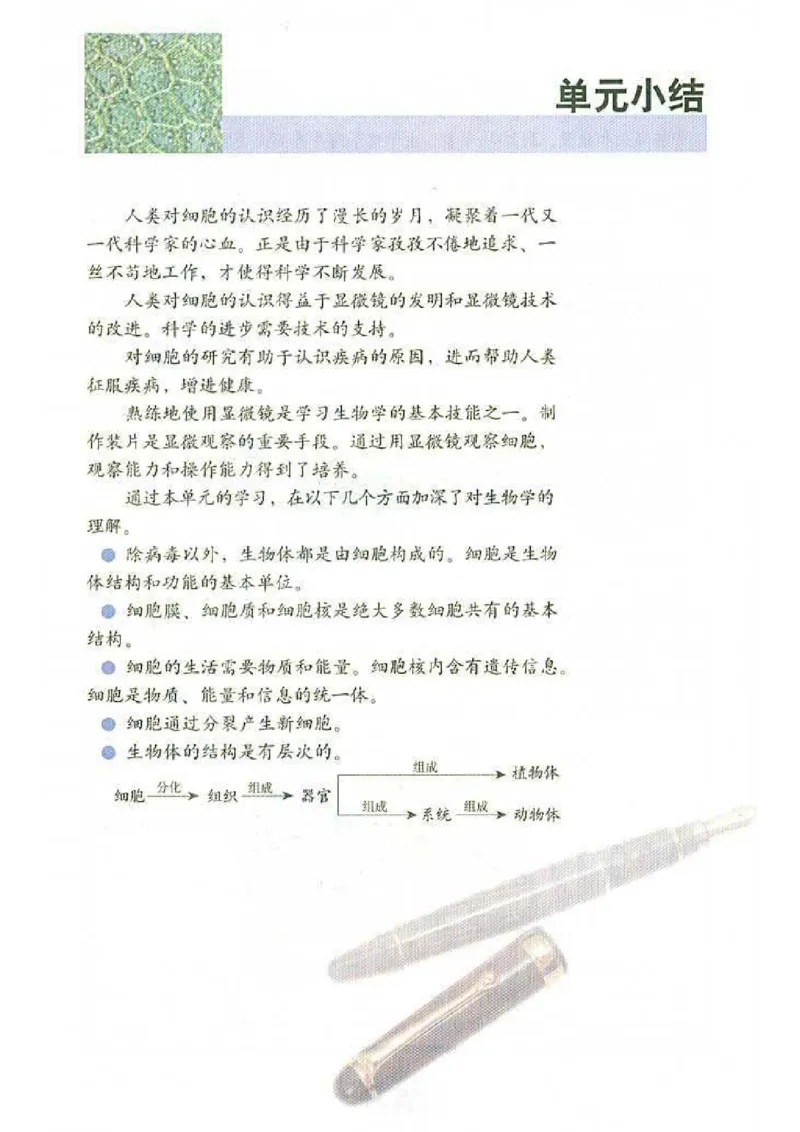 初中_生物_7_1(1)_教资初高中_教资面试2025教资面试备考资料合集_教资面试资料合集_2025教资面试资料_25上教资面试-小学资料包_20教材：全册_初中_初中生物