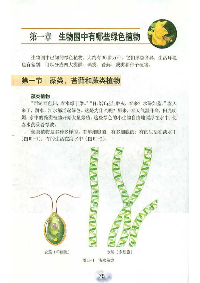 初中_生物_7_1(1)_教资初高中_教资面试2025教资面试备考资料合集_教资面试资料合集_2025教资面试资料_25上教资面试-小学资料包_20教材：全册_初中_初中生物