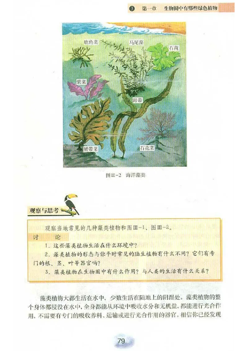 初中_生物_7_1(1)_教资初高中_教资面试2025教资面试备考资料合集_教资面试资料合集_2025教资面试资料_25上教资面试-小学资料包_20教材：全册_初中_初中生物