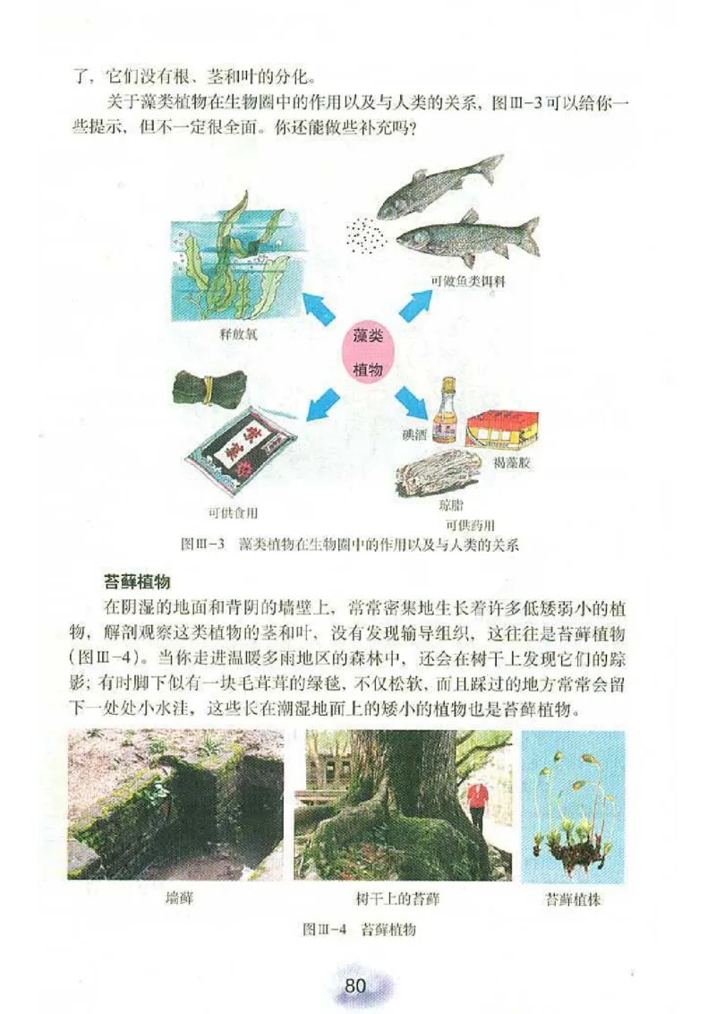 初中_生物_7_1(1)_教资初高中_教资面试2025教资面试备考资料合集_教资面试资料合集_2025教资面试资料_25上教资面试-小学资料包_20教材：全册_初中_初中生物