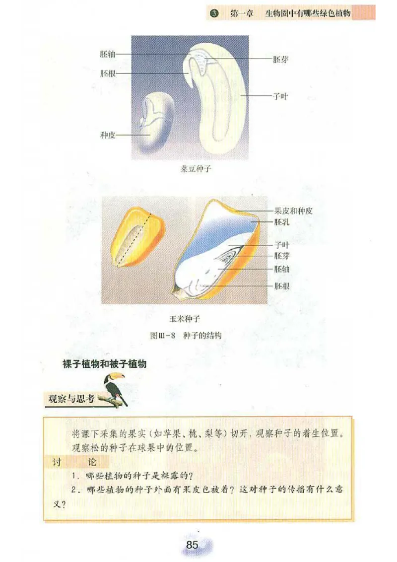 初中_生物_7_1(1)_教资初高中_教资面试2025教资面试备考资料合集_教资面试资料合集_2025教资面试资料_25上教资面试-小学资料包_20教材：全册_初中_初中生物