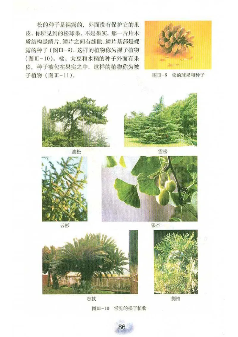 初中_生物_7_1(1)_教资初高中_教资面试2025教资面试备考资料合集_教资面试资料合集_2025教资面试资料_25上教资面试-小学资料包_20教材：全册_初中_初中生物