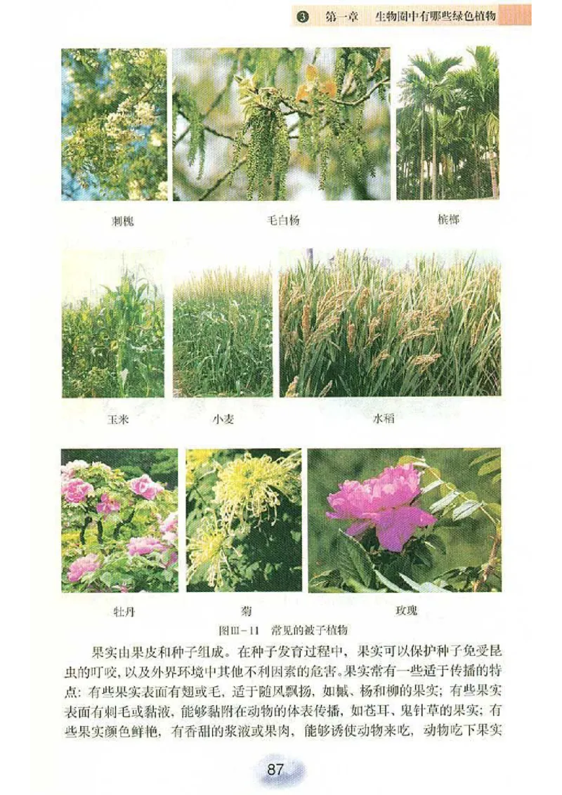 初中_生物_7_1(1)_教资初高中_教资面试2025教资面试备考资料合集_教资面试资料合集_2025教资面试资料_25上教资面试-小学资料包_20教材：全册_初中_初中生物