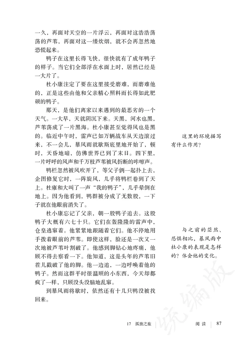 初中九年级上册语文_教资初高中_教资面试2025教资面试备考资料合集_教资面试资料合集_3、教资面试资料包大全_45大圣中小幼面试资料包_初中_语文_初中语文电子课本