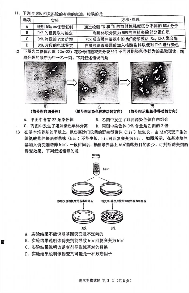 福建省泉州市高中毕业班2022-2023学年高三上学期质量监测（一）生物试卷_3.2025英语总复习_2023年新高考资料_3英语高考模拟题_新高考