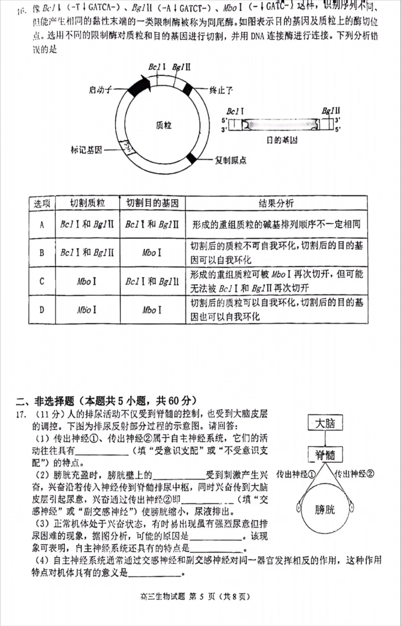 福建省泉州市高中毕业班2022-2023学年高三上学期质量监测（一）生物试卷_3.2025英语总复习_2023年新高考资料_3英语高考模拟题_新高考