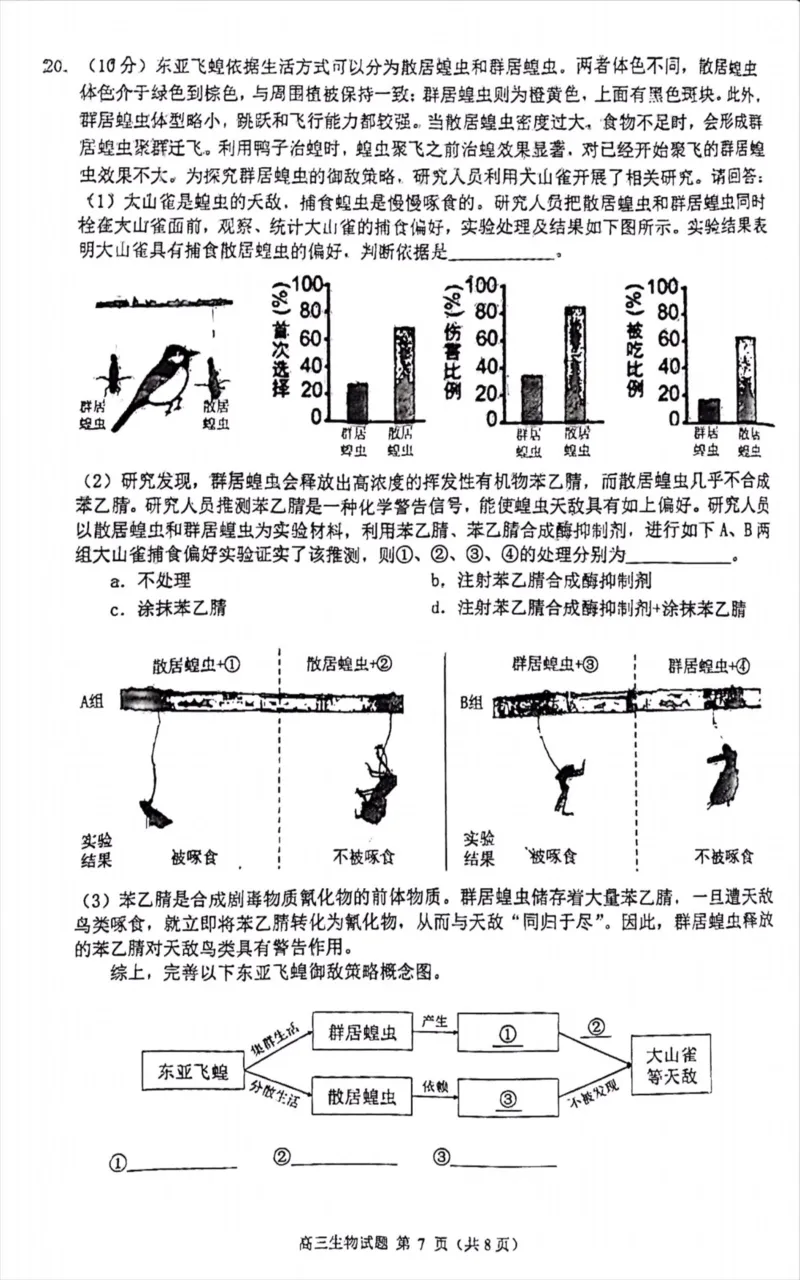 福建省泉州市高中毕业班2022-2023学年高三上学期质量监测（一）生物试卷_3.2025英语总复习_2023年新高考资料_3英语高考模拟题_新高考