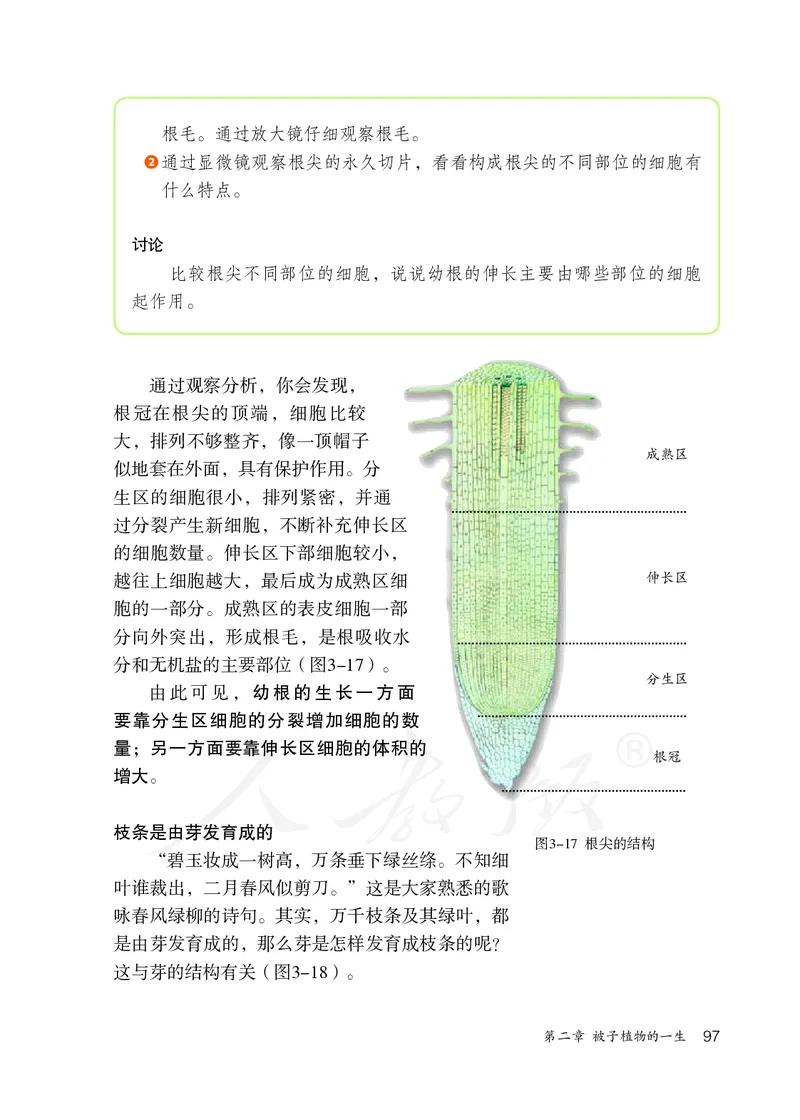 初中一年级上册生物_教资初高中_教资面试2025教资面试备考资料合集_教资面试资料合集_3、教资面试资料包大全_45大圣中小幼面试资料包_初中_生物_初中生物电子课本