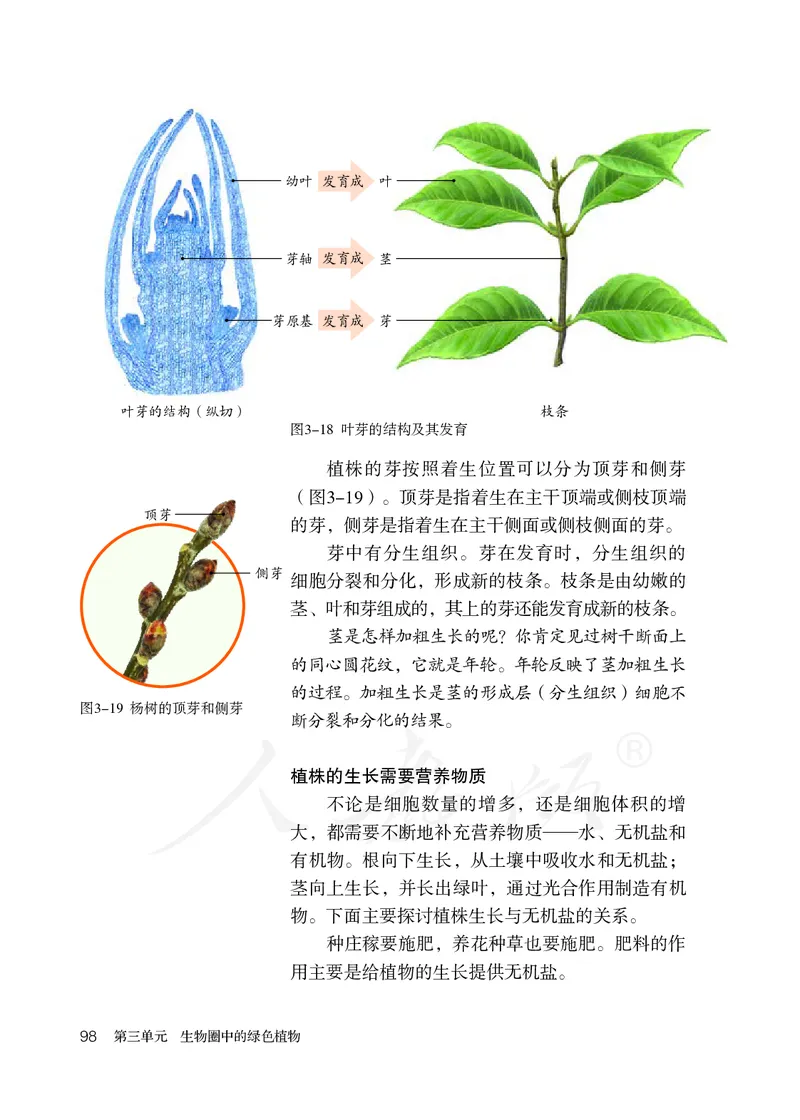 初中一年级上册生物_教资初高中_教资面试2025教资面试备考资料合集_教资面试资料合集_3、教资面试资料包大全_45大圣中小幼面试资料包_初中_生物_初中生物电子课本