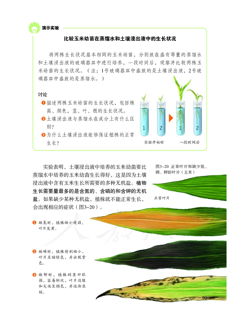 初中一年级上册生物_教资初高中_教资面试2025教资面试备考资料合集_教资面试资料合集_3、教资面试资料包大全_45大圣中小幼面试资料包_初中_生物_初中生物电子课本