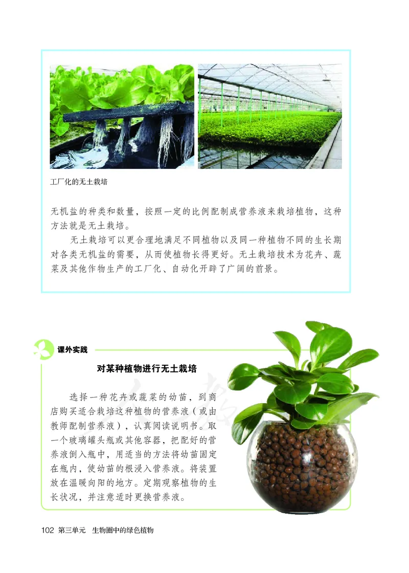 初中一年级上册生物_教资初高中_教资面试2025教资面试备考资料合集_教资面试资料合集_3、教资面试资料包大全_45大圣中小幼面试资料包_初中_生物_初中生物电子课本