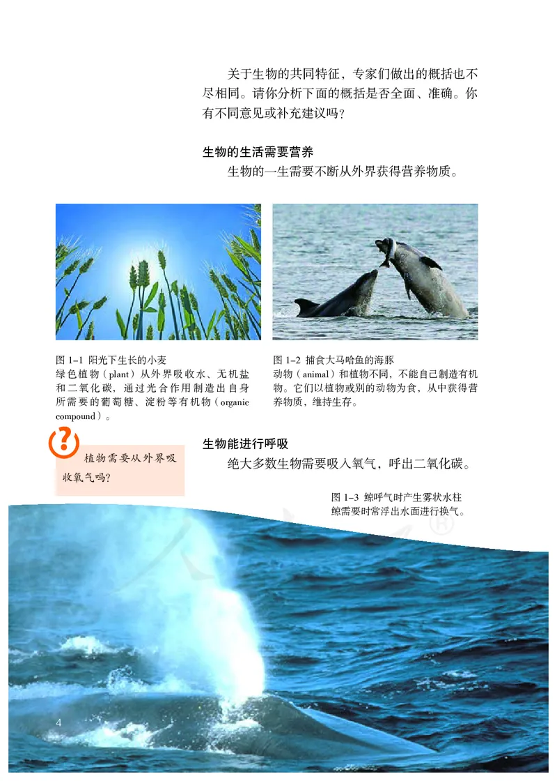 初中一年级上册生物_教资初高中_教资面试2025教资面试备考资料合集_教资面试资料合集_3、教资面试资料包大全_45大圣中小幼面试资料包_初中_生物_初中生物电子课本