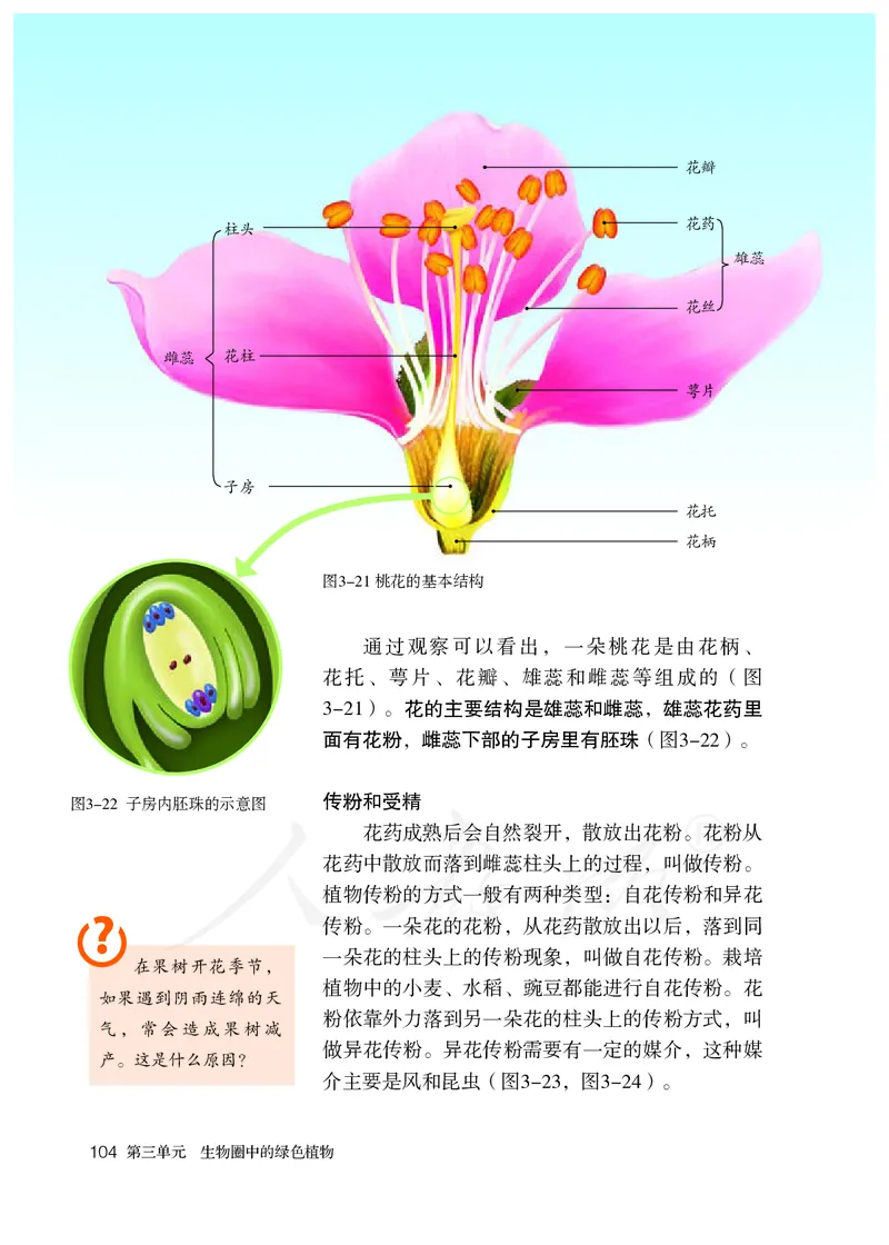 初中一年级上册生物_教资初高中_教资面试2025教资面试备考资料合集_教资面试资料合集_3、教资面试资料包大全_45大圣中小幼面试资料包_初中_生物_初中生物电子课本