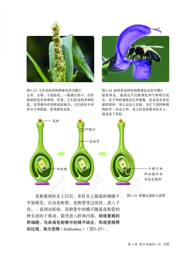 初中一年级上册生物_教资初高中_教资面试2025教资面试备考资料合集_教资面试资料合集_3、教资面试资料包大全_45大圣中小幼面试资料包_初中_生物_初中生物电子课本