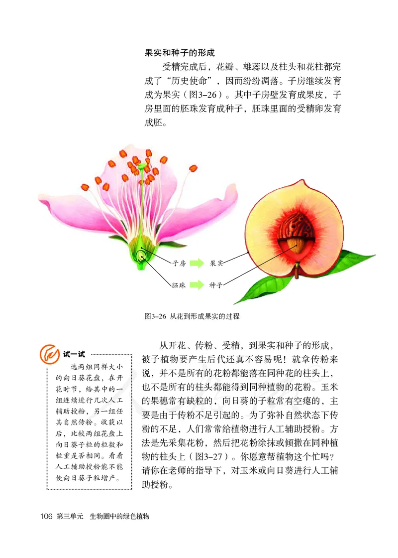 初中一年级上册生物_教资初高中_教资面试2025教资面试备考资料合集_教资面试资料合集_3、教资面试资料包大全_45大圣中小幼面试资料包_初中_生物_初中生物电子课本