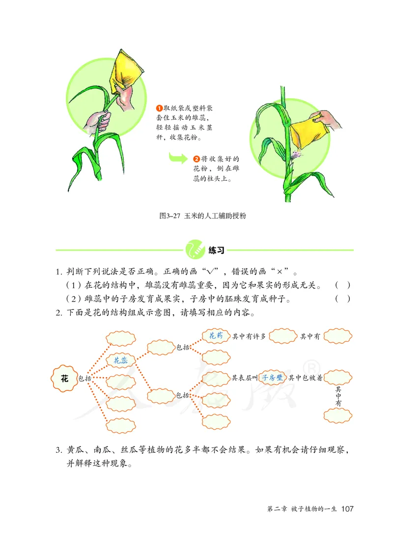 初中一年级上册生物_教资初高中_教资面试2025教资面试备考资料合集_教资面试资料合集_3、教资面试资料包大全_45大圣中小幼面试资料包_初中_生物_初中生物电子课本