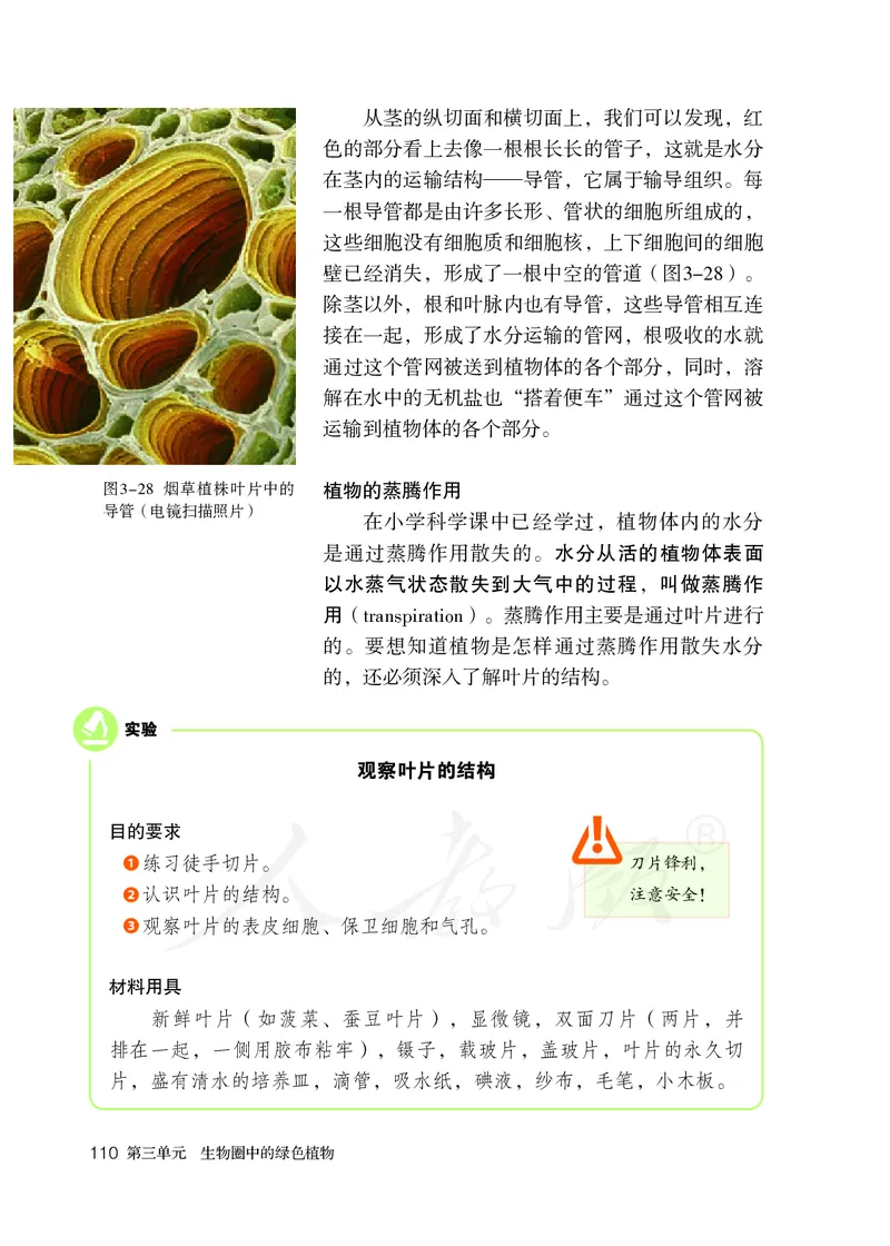 初中一年级上册生物_教资初高中_教资面试2025教资面试备考资料合集_教资面试资料合集_3、教资面试资料包大全_45大圣中小幼面试资料包_初中_生物_初中生物电子课本