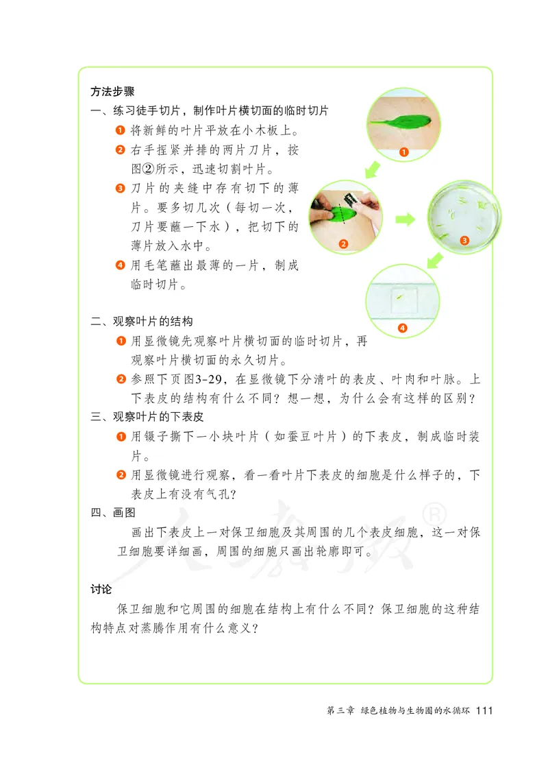 初中一年级上册生物_教资初高中_教资面试2025教资面试备考资料合集_教资面试资料合集_3、教资面试资料包大全_45大圣中小幼面试资料包_初中_生物_初中生物电子课本