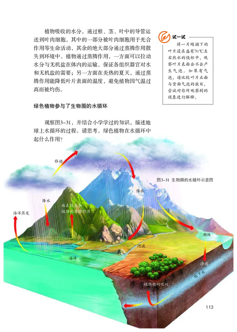 初中一年级上册生物_教资初高中_教资面试2025教资面试备考资料合集_教资面试资料合集_3、教资面试资料包大全_45大圣中小幼面试资料包_初中_生物_初中生物电子课本