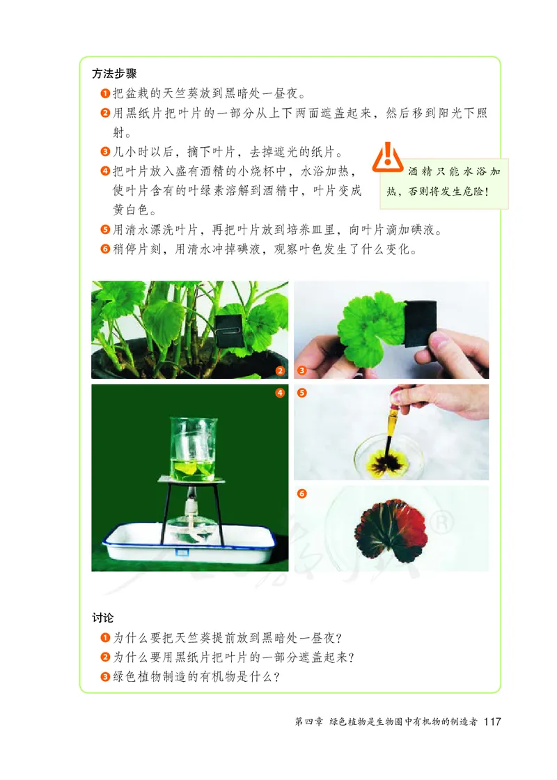 初中一年级上册生物_教资初高中_教资面试2025教资面试备考资料合集_教资面试资料合集_3、教资面试资料包大全_45大圣中小幼面试资料包_初中_生物_初中生物电子课本