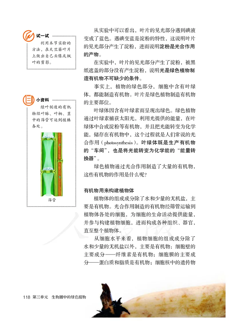 初中一年级上册生物_教资初高中_教资面试2025教资面试备考资料合集_教资面试资料合集_3、教资面试资料包大全_45大圣中小幼面试资料包_初中_生物_初中生物电子课本